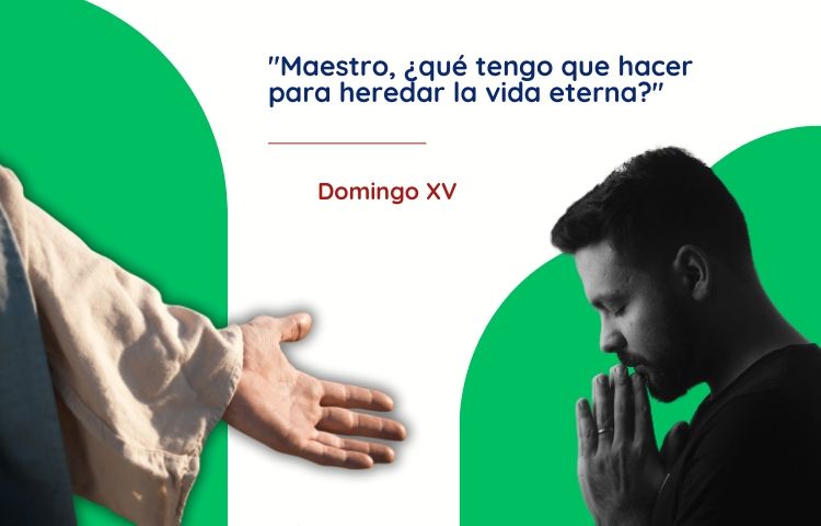 Domingo XV