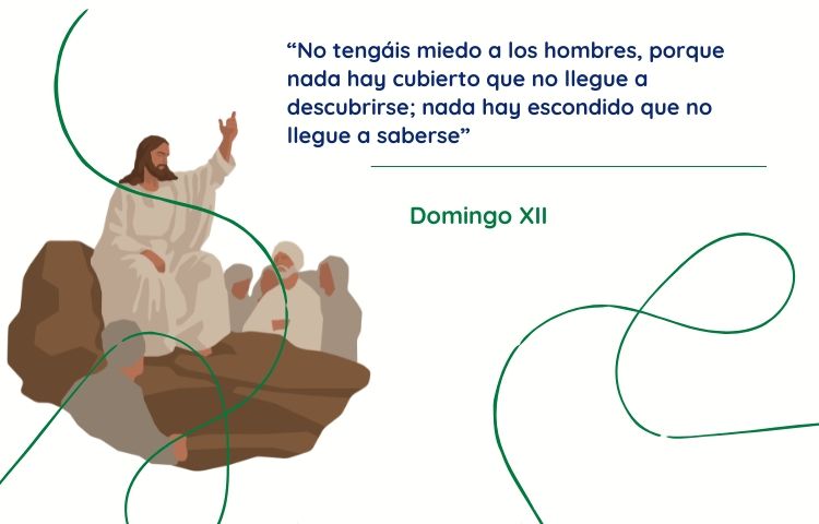 Domingo XII